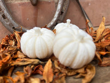 Load image into Gallery viewer, Pumpkin Patch - 4 x Warm Woods &amp; Cashmere pumpkins

