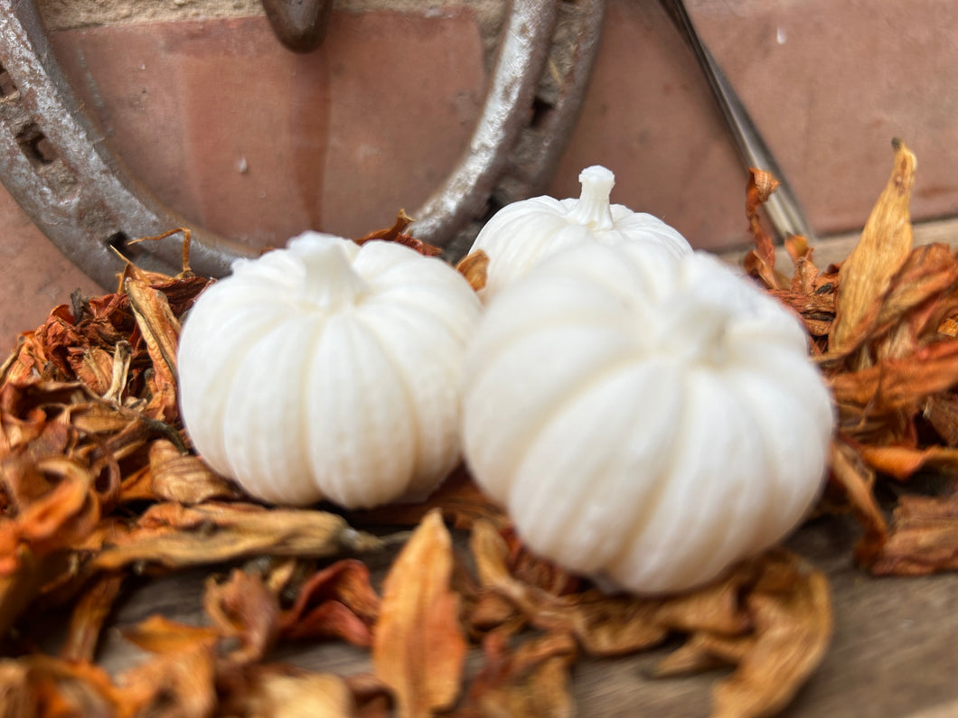 Pumpkin Patch - 4 x Warm Woods & Cashmere pumpkins