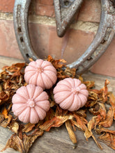 Load image into Gallery viewer, Pumpkin Patch - 4 x Pumpkin Spice pumpkins
