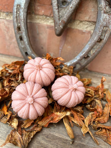 Pumpkin Patch - 4 x Pumpkin Spice pumpkins