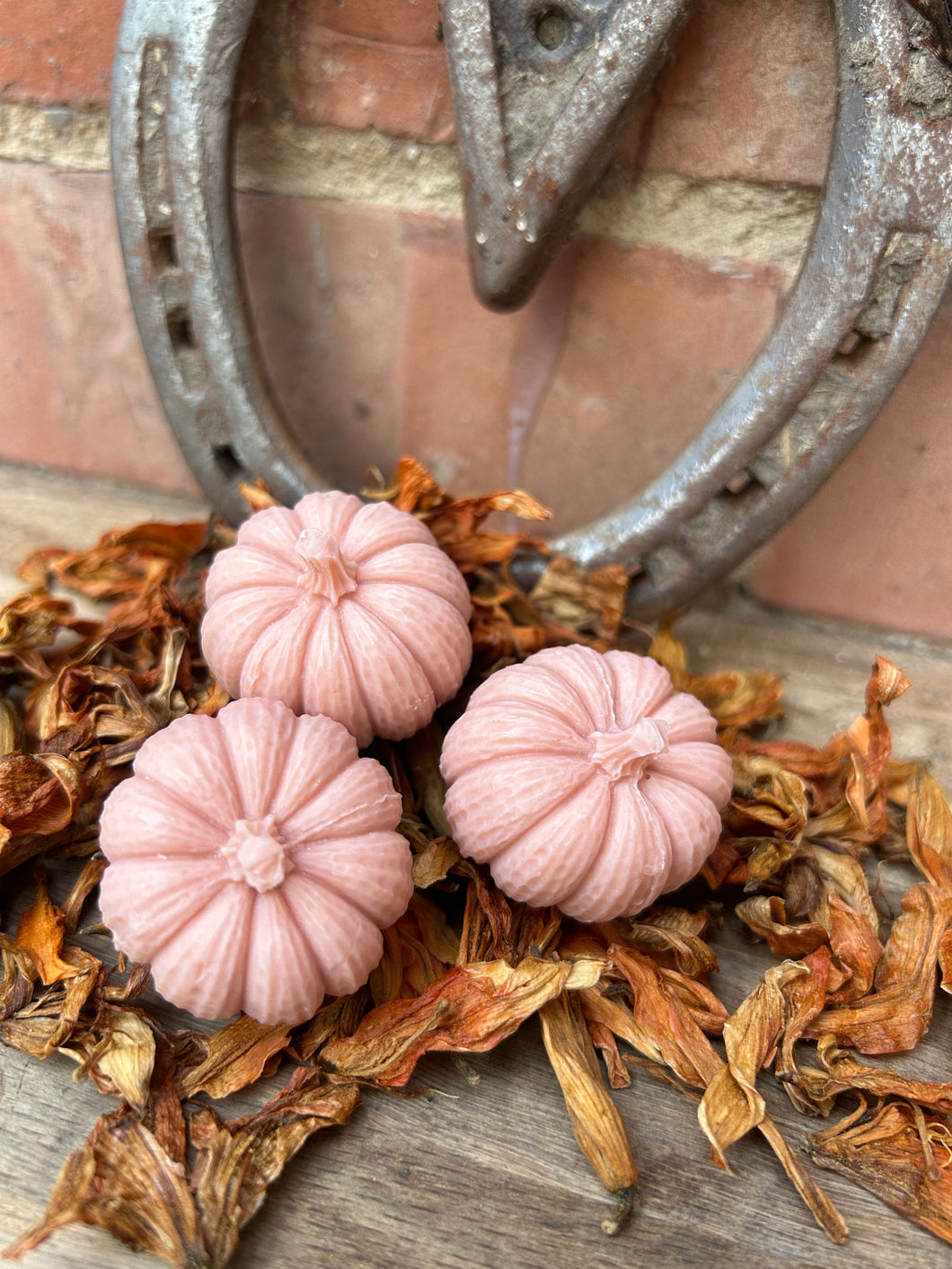 Pumpkin Patch - 4 x Pumpkin Spice pumpkins