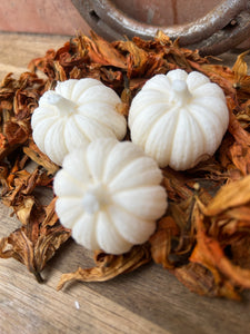 Pumpkin Patch - 4 x Warm Woods & Cashmere pumpkins