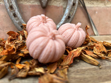 Load image into Gallery viewer, Pumpkin Patch - 4 x Pumpkin Spice pumpkins

